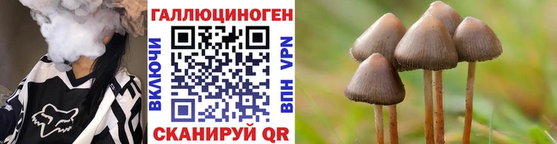 Псилоцибиновые грибы мицелий  ОМГ ОМГ вход  Курчалой 