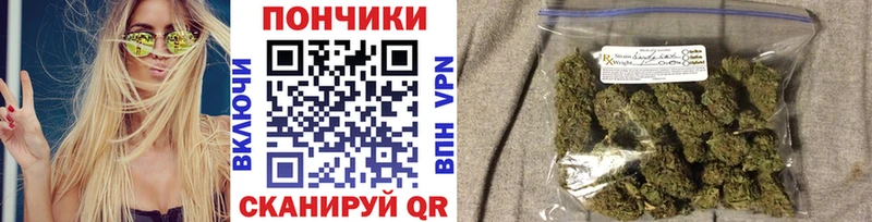 Конопля гибрид  дарк нет Telegram  Курчалой 